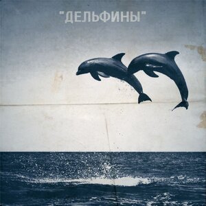 Дельфины