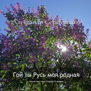 Гой ты Русь моя родная