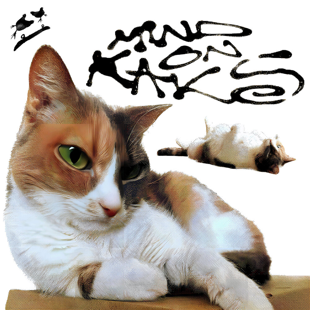 track-cover