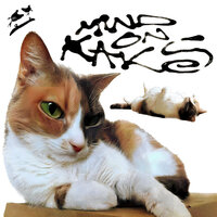 artist-cover