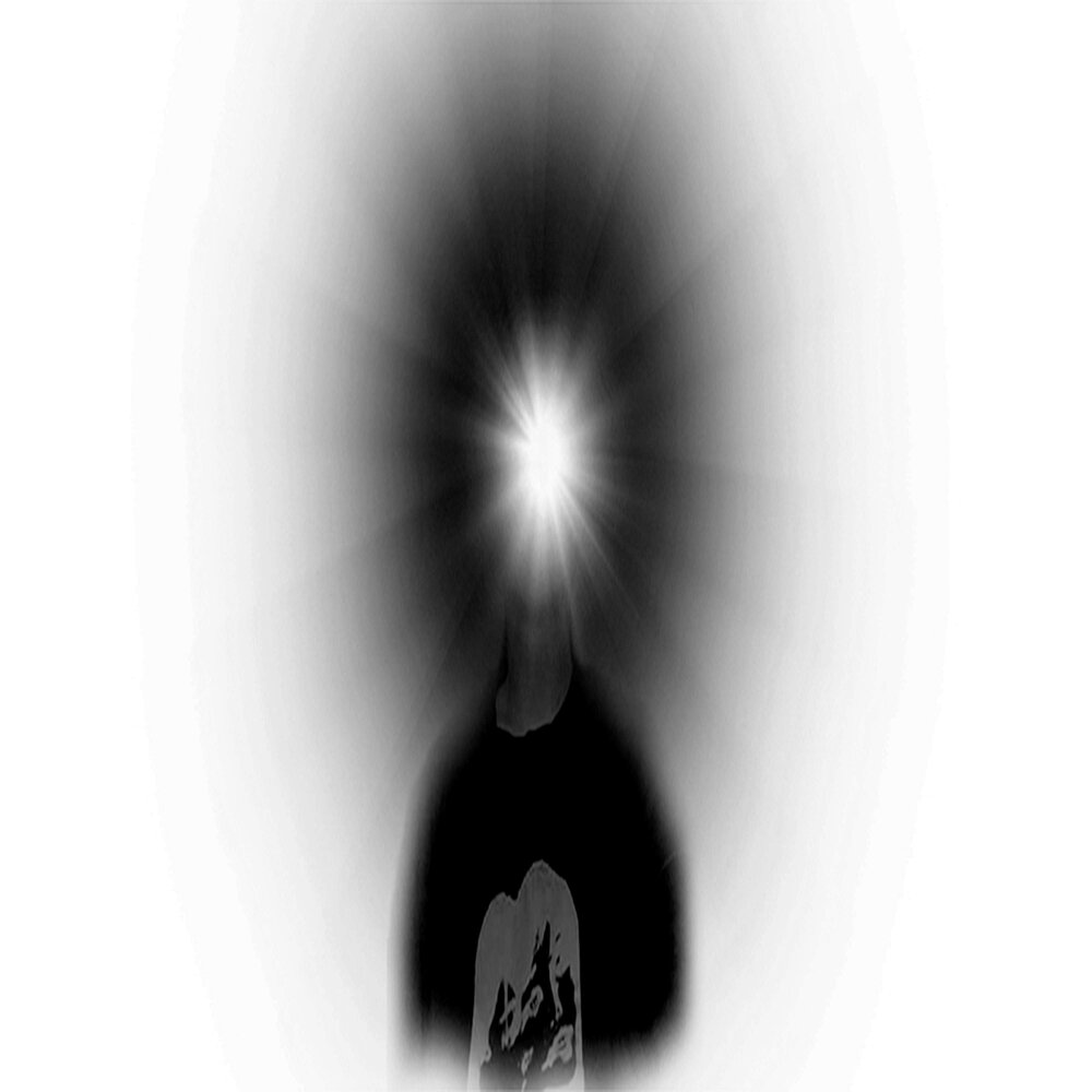 YandexMusic profile picture