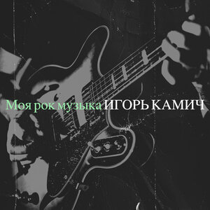 Игорь Камич