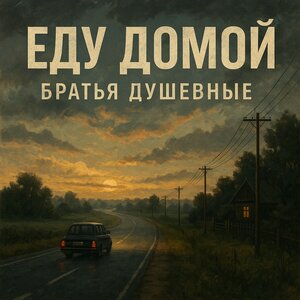 Еду домой
