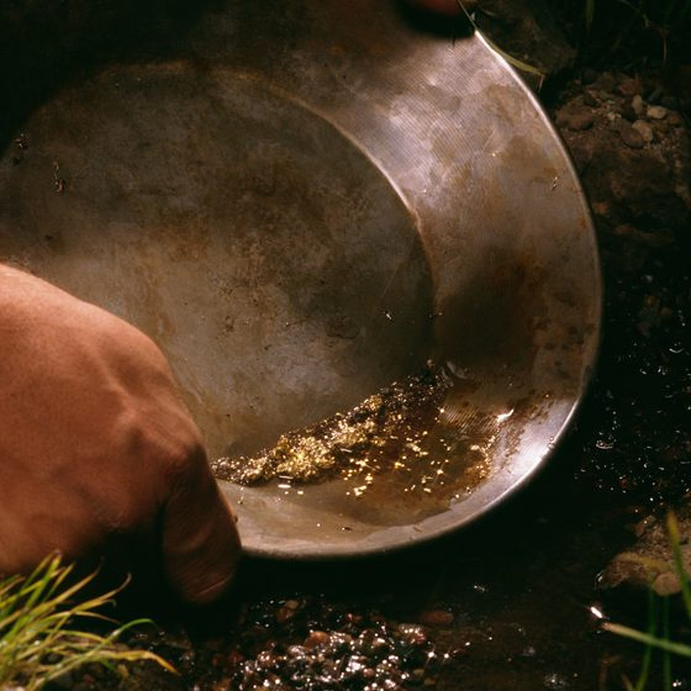 Gold pan. Pan золотоискатели. Gold Mining Pan. Panning for Gold.