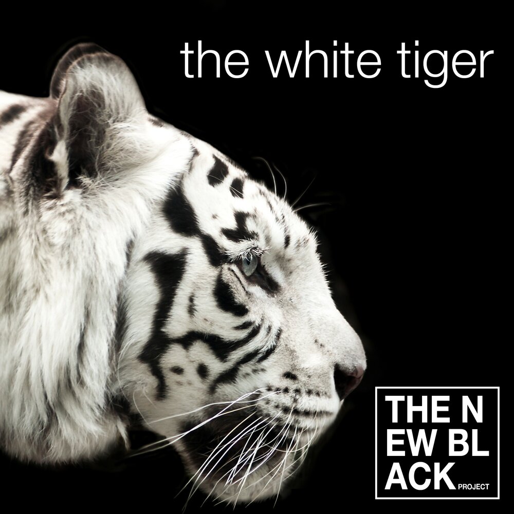 Тайгер слушать. Тигр певец. & Tiger альбом. Тигр слушает музыку. White Tiger on Black.
