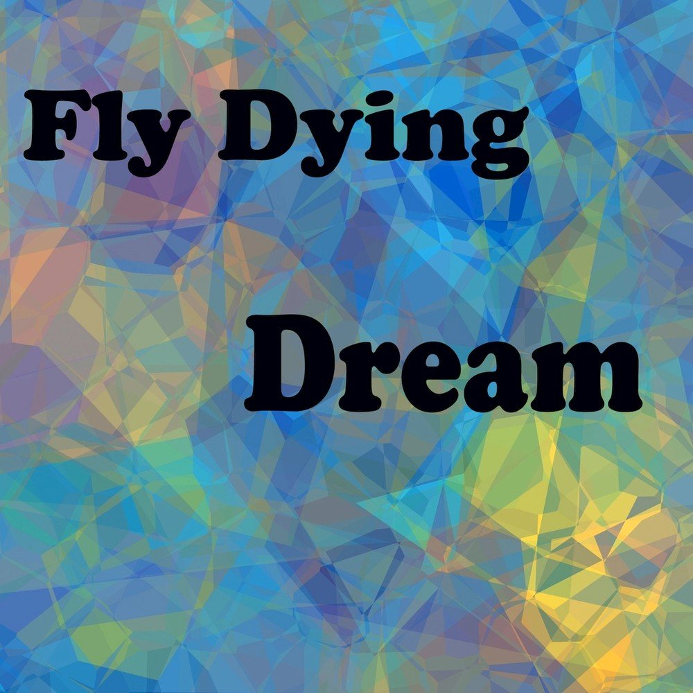 Fly to Dream. My Fly Dream. Dreams of the Dying.