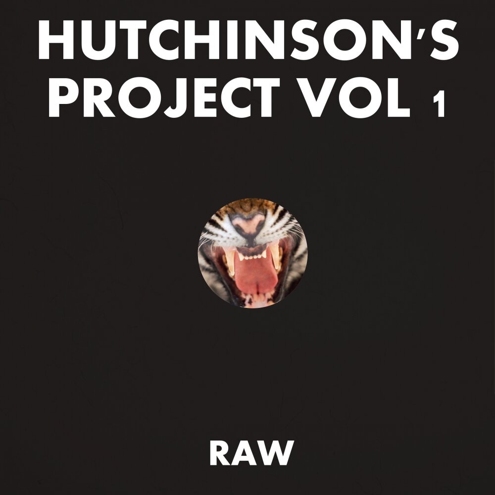 Project vol 1