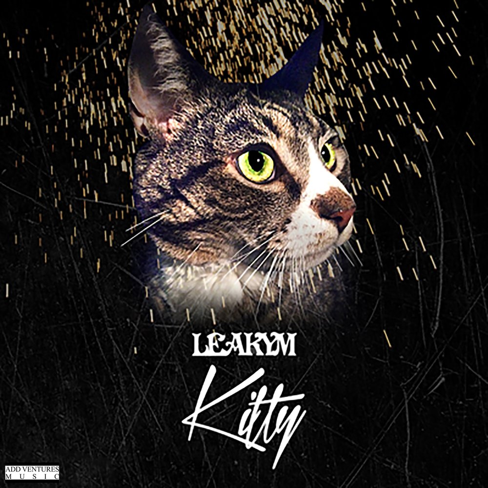 Kitty boy johnny. My kitty песня. Kitty b песни. Песня китти. Kitty слушать.