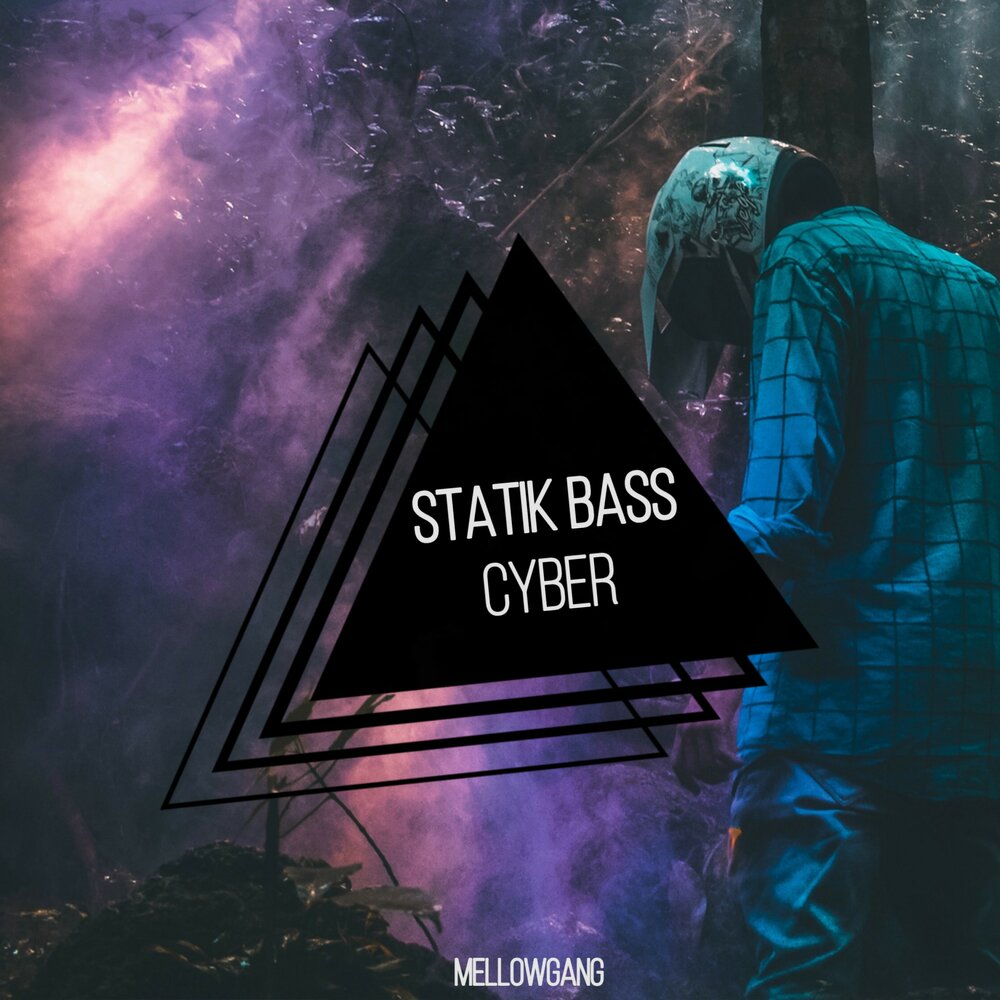 Cyber bass