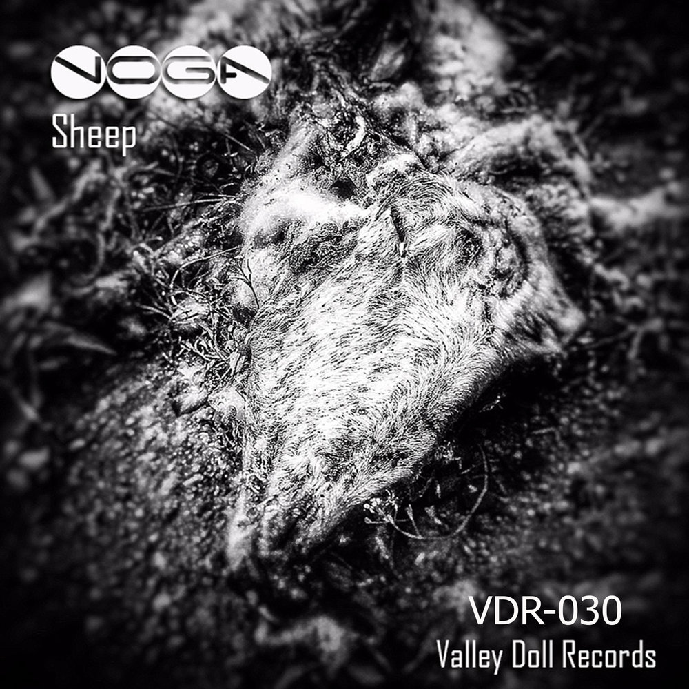 track-cover