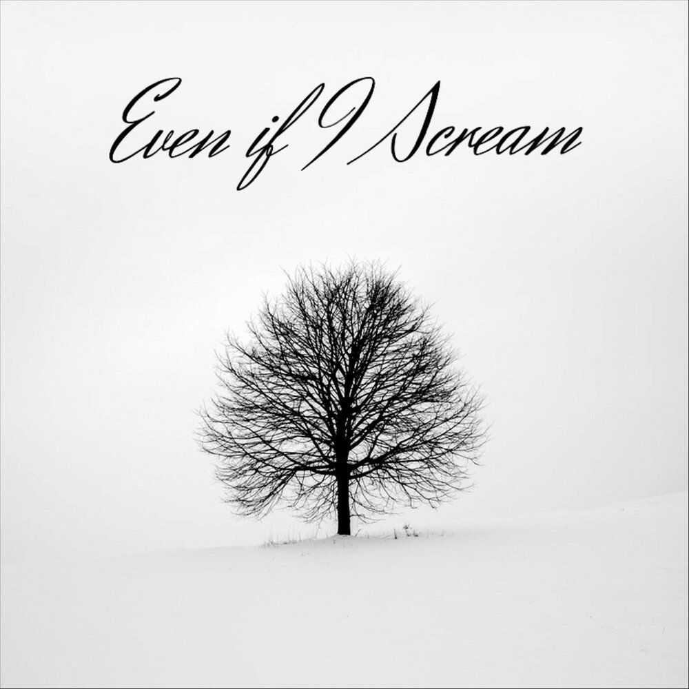 Пасадобль. Танцуй номадс текст. Танцуй nomads где послушать. Nomads танцуй текст. Nomad песни.