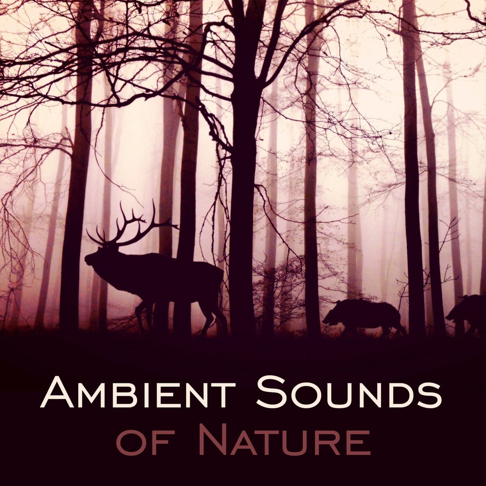 Ambient sounds