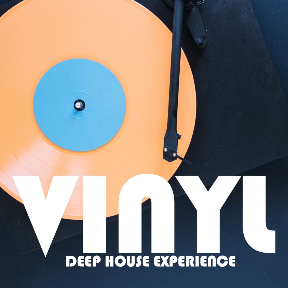 Vinyl deep house. Dnsk.mp3 - House experience.