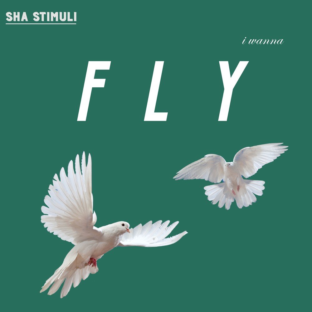 Wanna fly. Jet Fly feat Nika p.m. - i can Fly картинки.