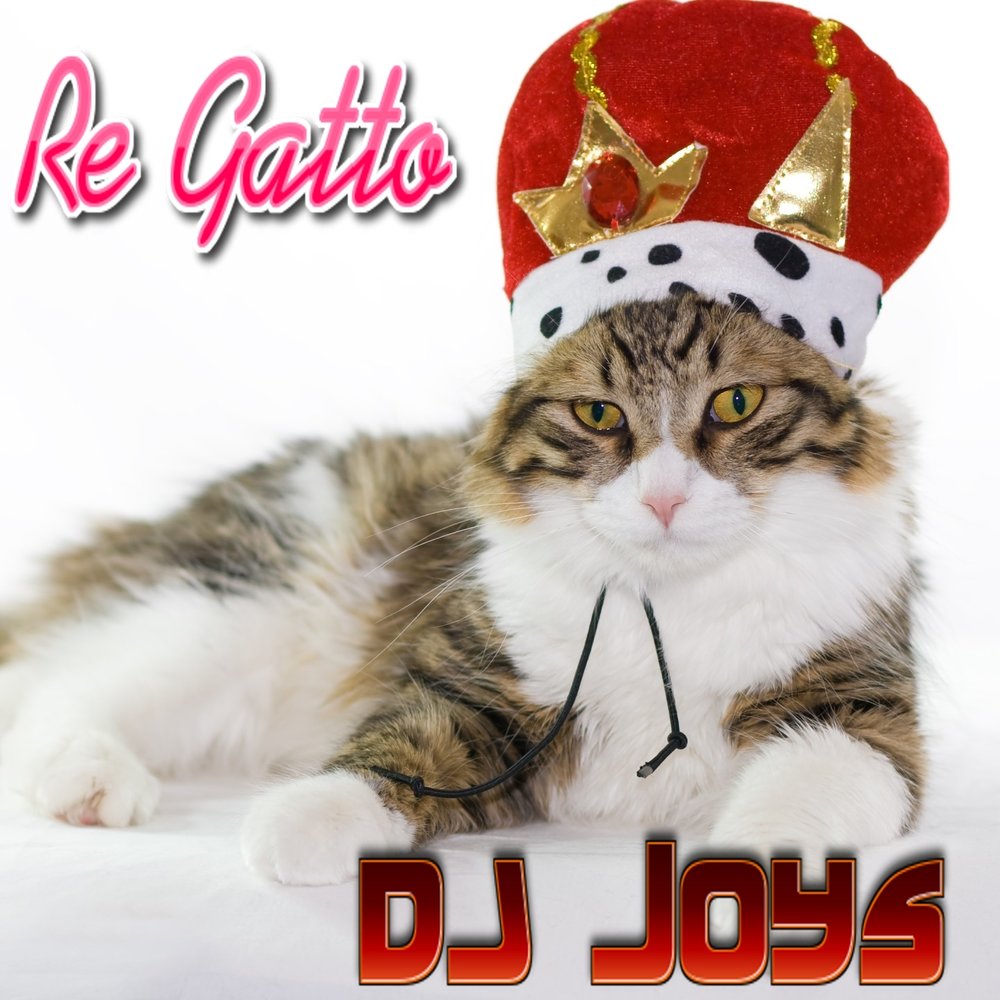 Dj joys