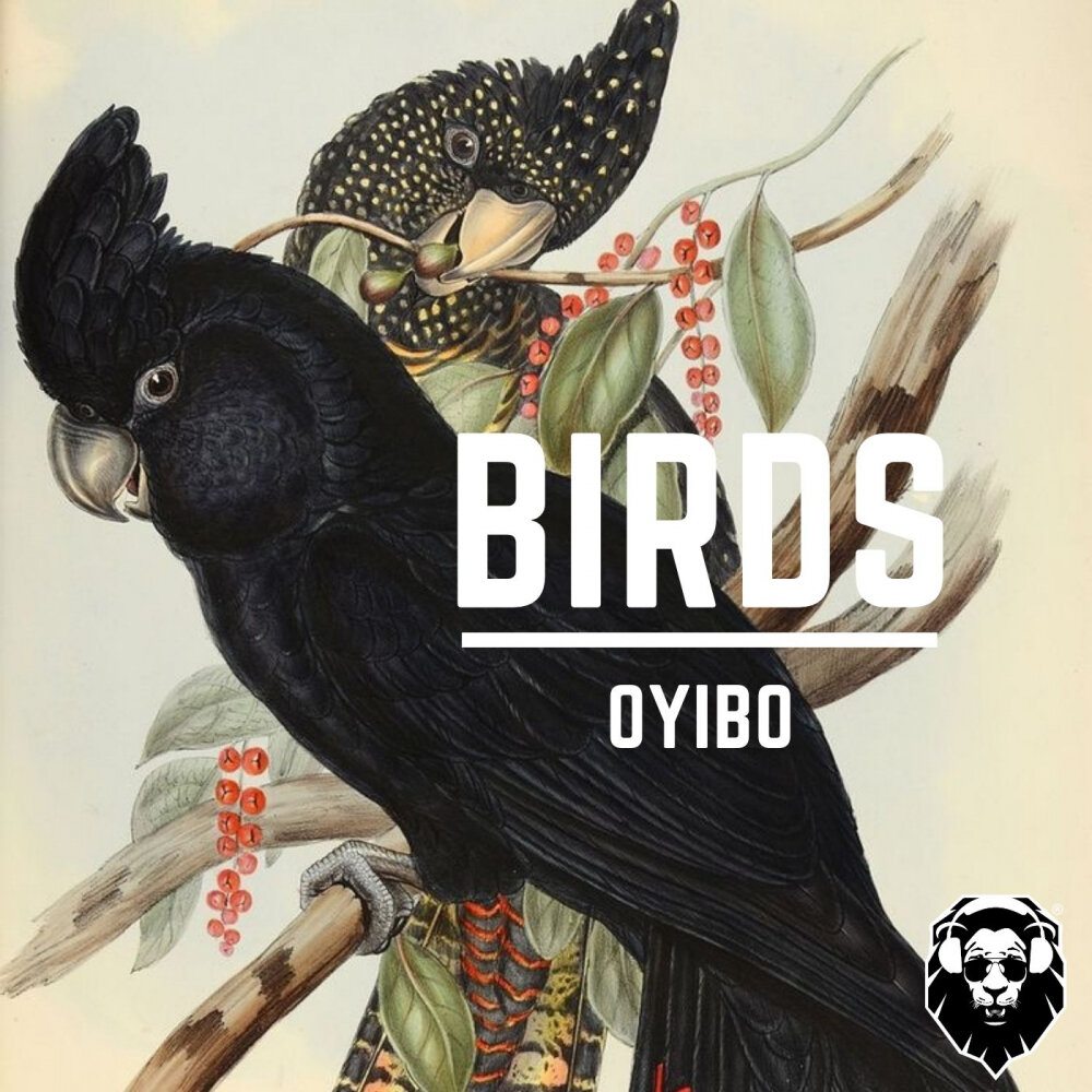 Oyibo. Origin of Birds.