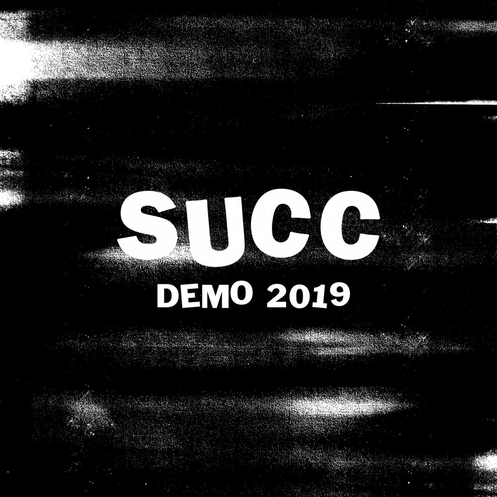 Demo 2019. Succ.