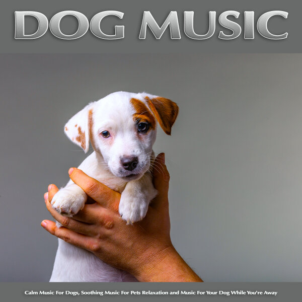 dog music