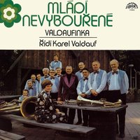 Malá dechová hudba Valdaufinka