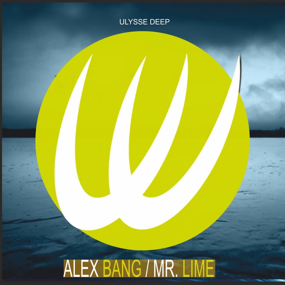 Bang alex. Мистер лайм. Mr Lime. DJ Alex Lime Алекс лайм.