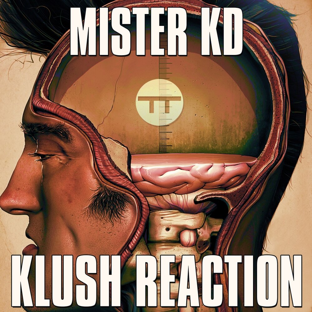 Mr original mix. Klush.