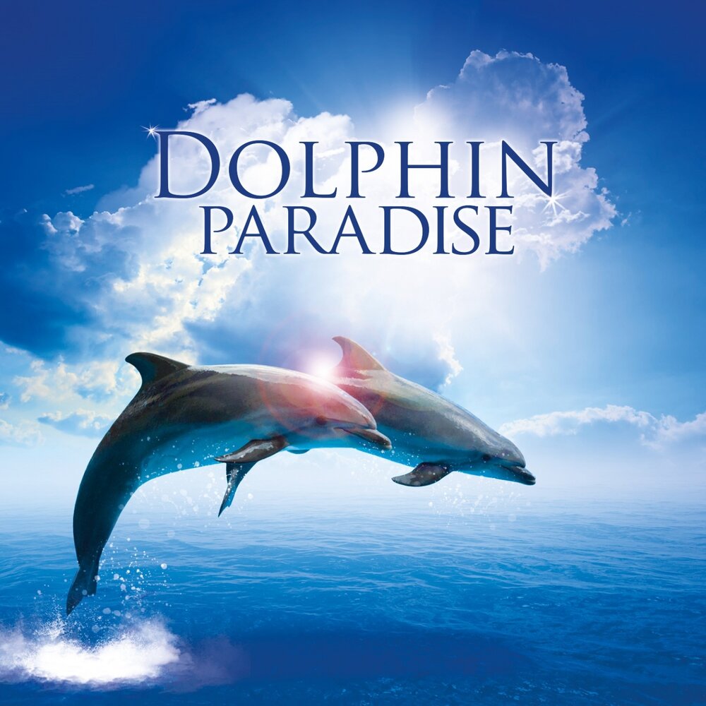 Альбомы дельфина. Dolphin Paradise. ATB Dolphins Mind. CD Дельфин: она.