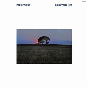 Pat Metheny - Round Trip / Broadway Blues