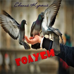 Голуби