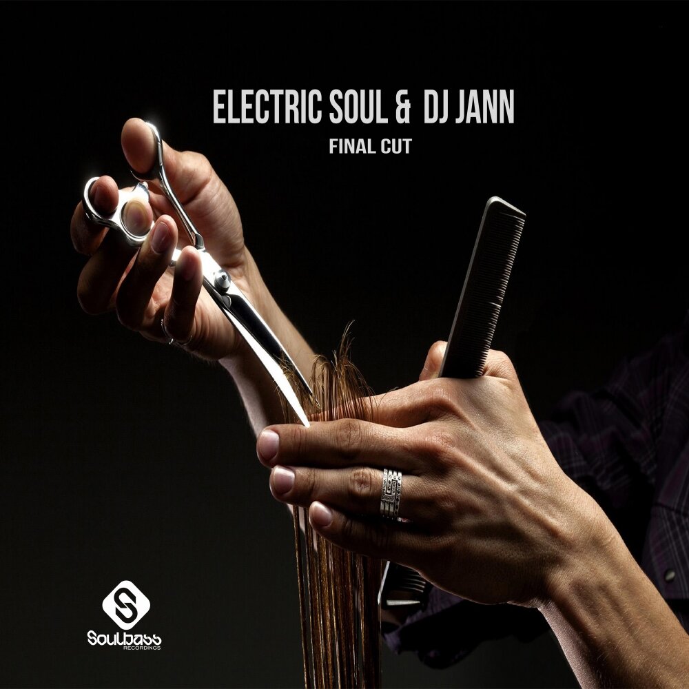 Electric Soul. Electric Soul", книга. Electric Soul книга купить. Music the Voice of Soul. Soul final