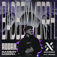 artist-cover