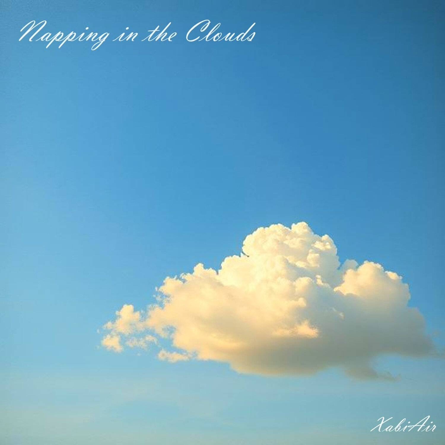 Обложка релиза Napping in the Clouds