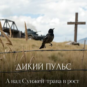 А над Сунжей трава в рост