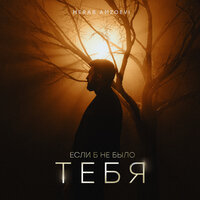 Сингл Если б не было тебя  