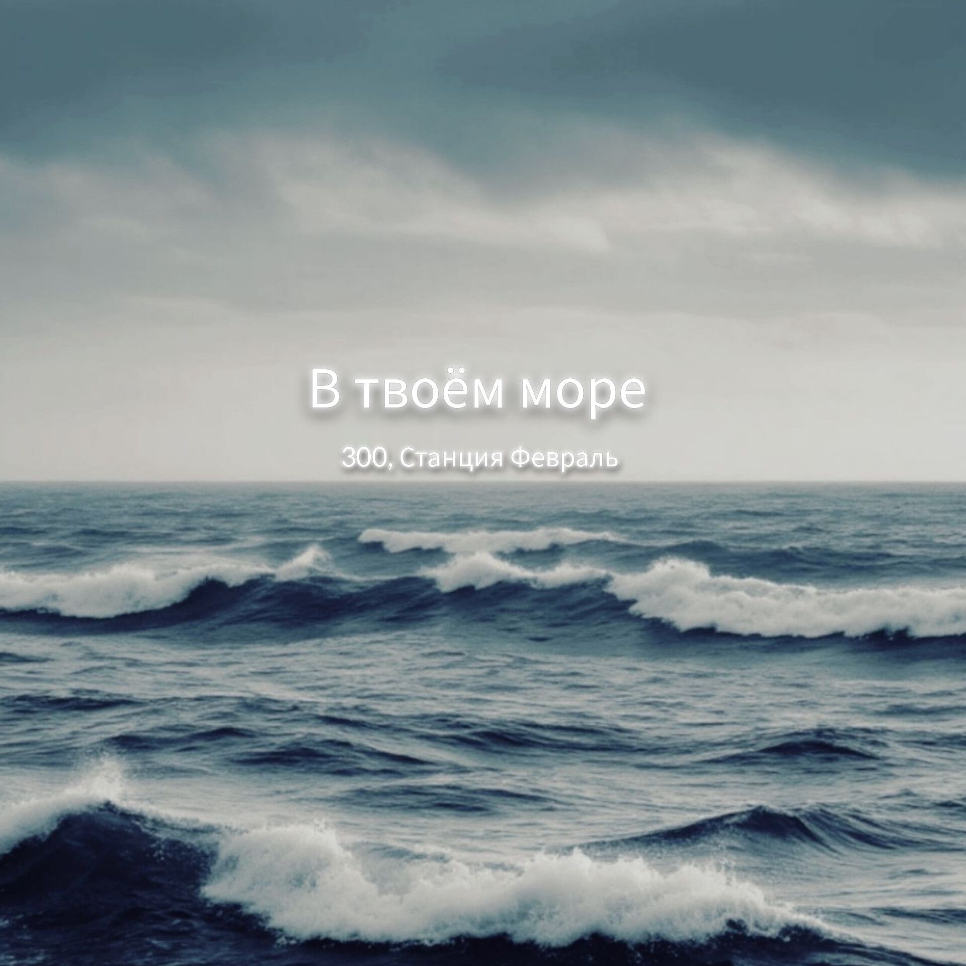 Фотография 300