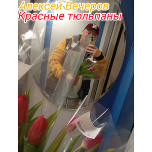 Красные тюльпаны