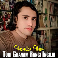 artist-cover