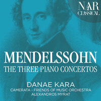 Camerata Friends of Music Orchestra