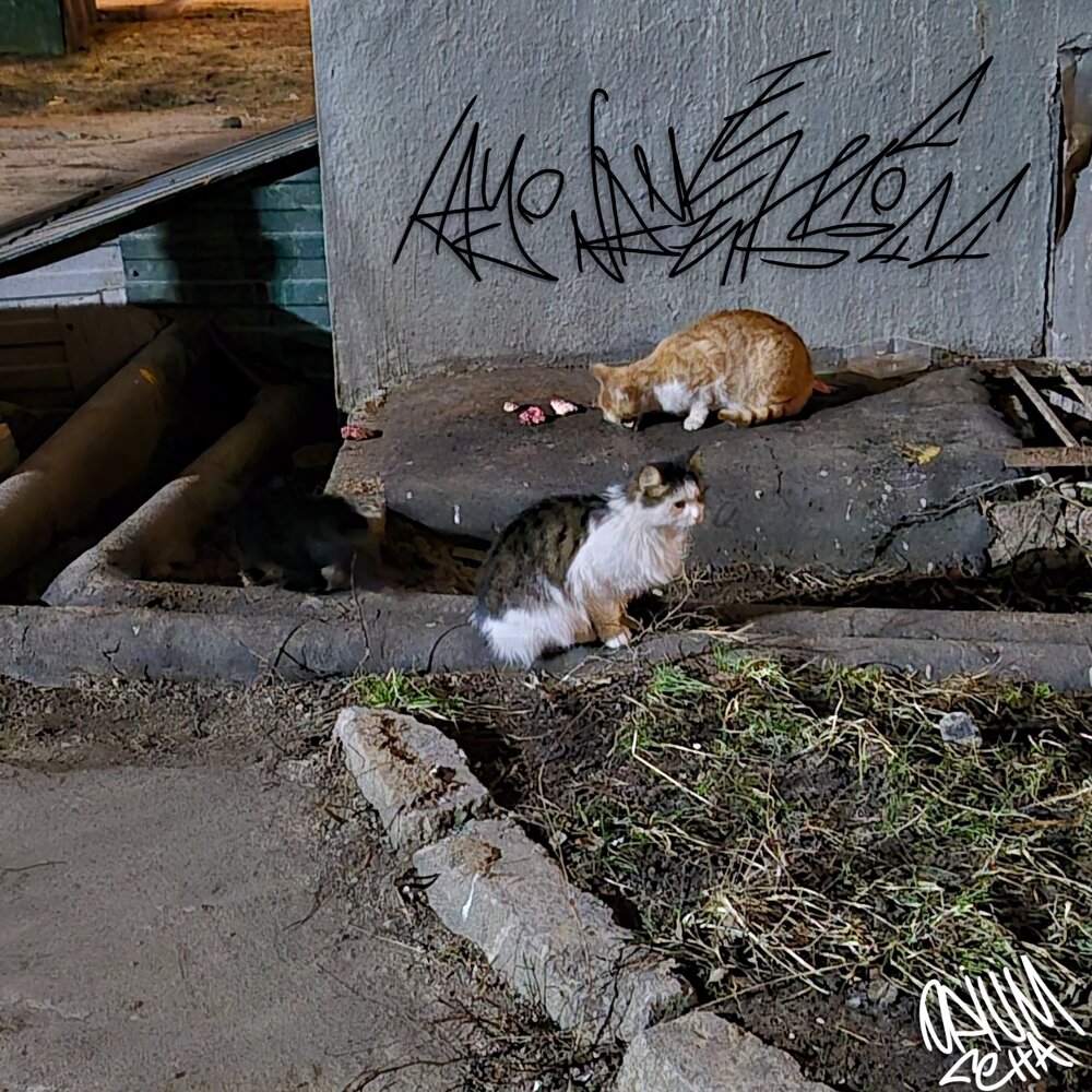 track-cover