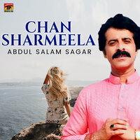 artist-cover