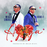 artist-cover