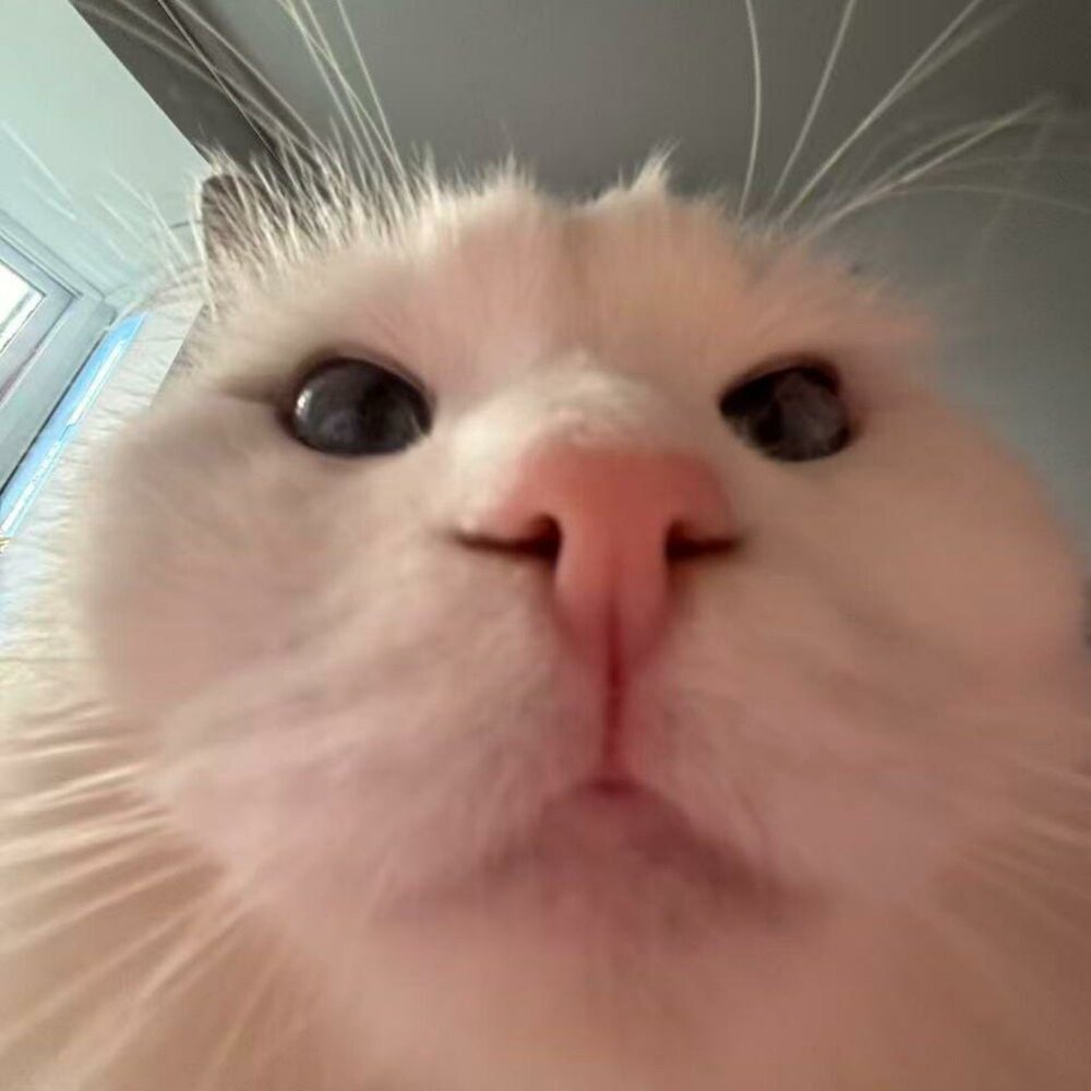 YandexMusic profile picture