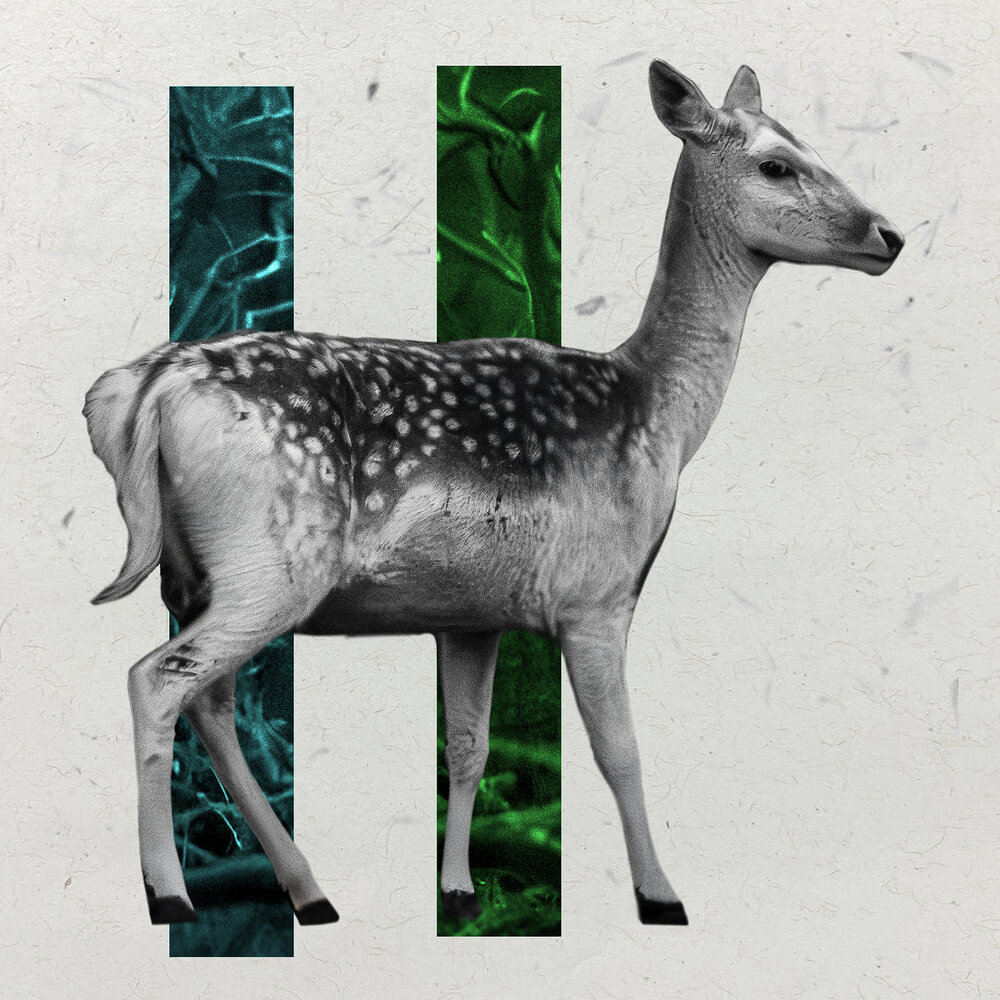 YandexMusic profile picture