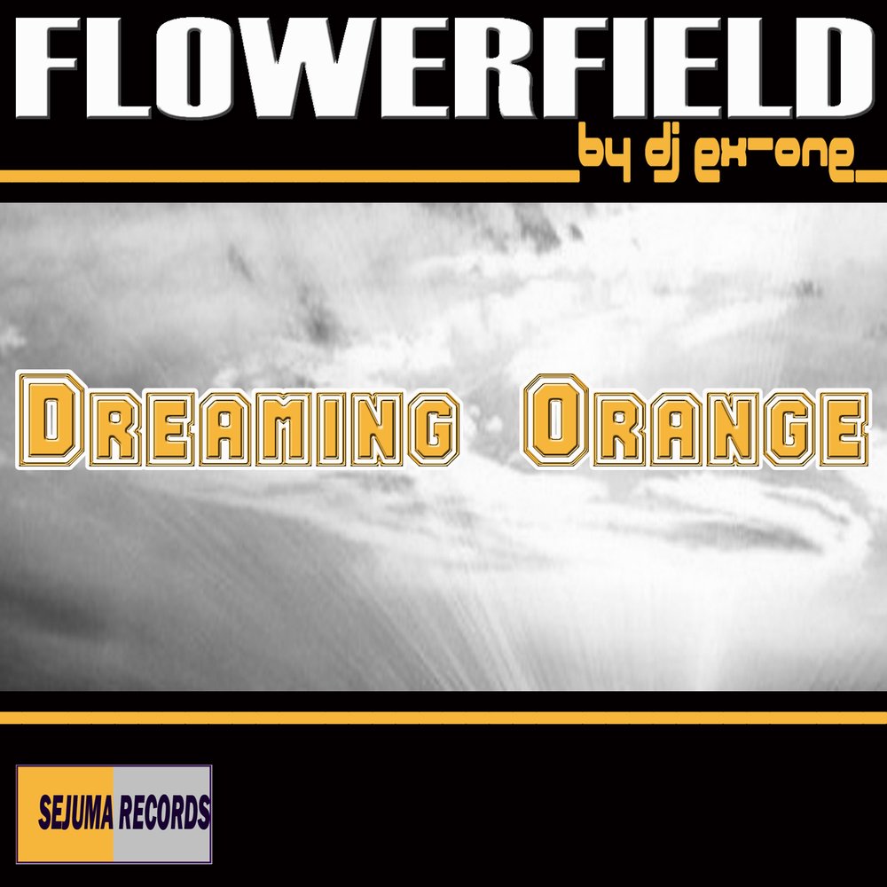 Dreaming orange