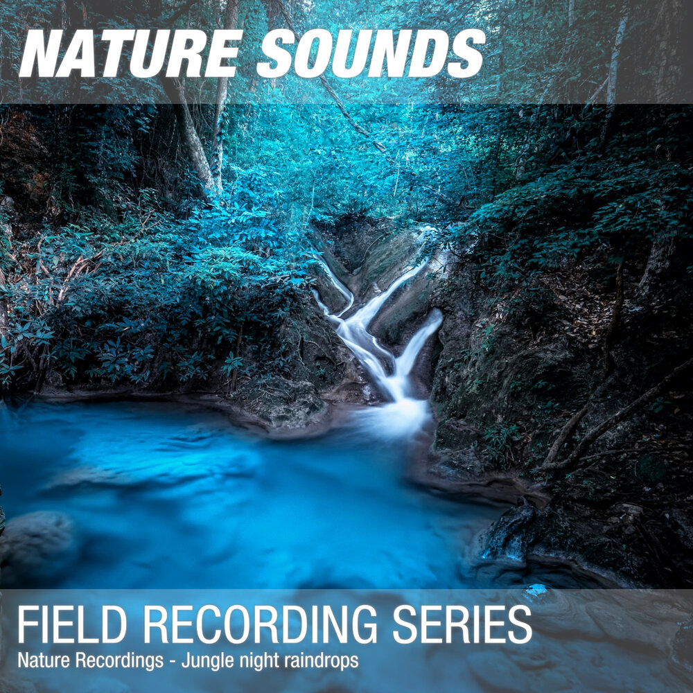 Nature noise