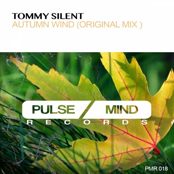 Tommy wind. Autumn Wind обложка. Обложка с песни autumn Wind. Autumn Wind DVRST. Обложка трека autumn Wind DVRST.