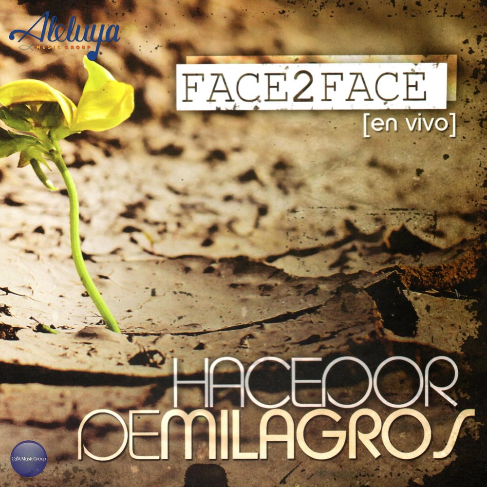 2face feat. Melissa Briggs. Face to face this Music. 2 face песня