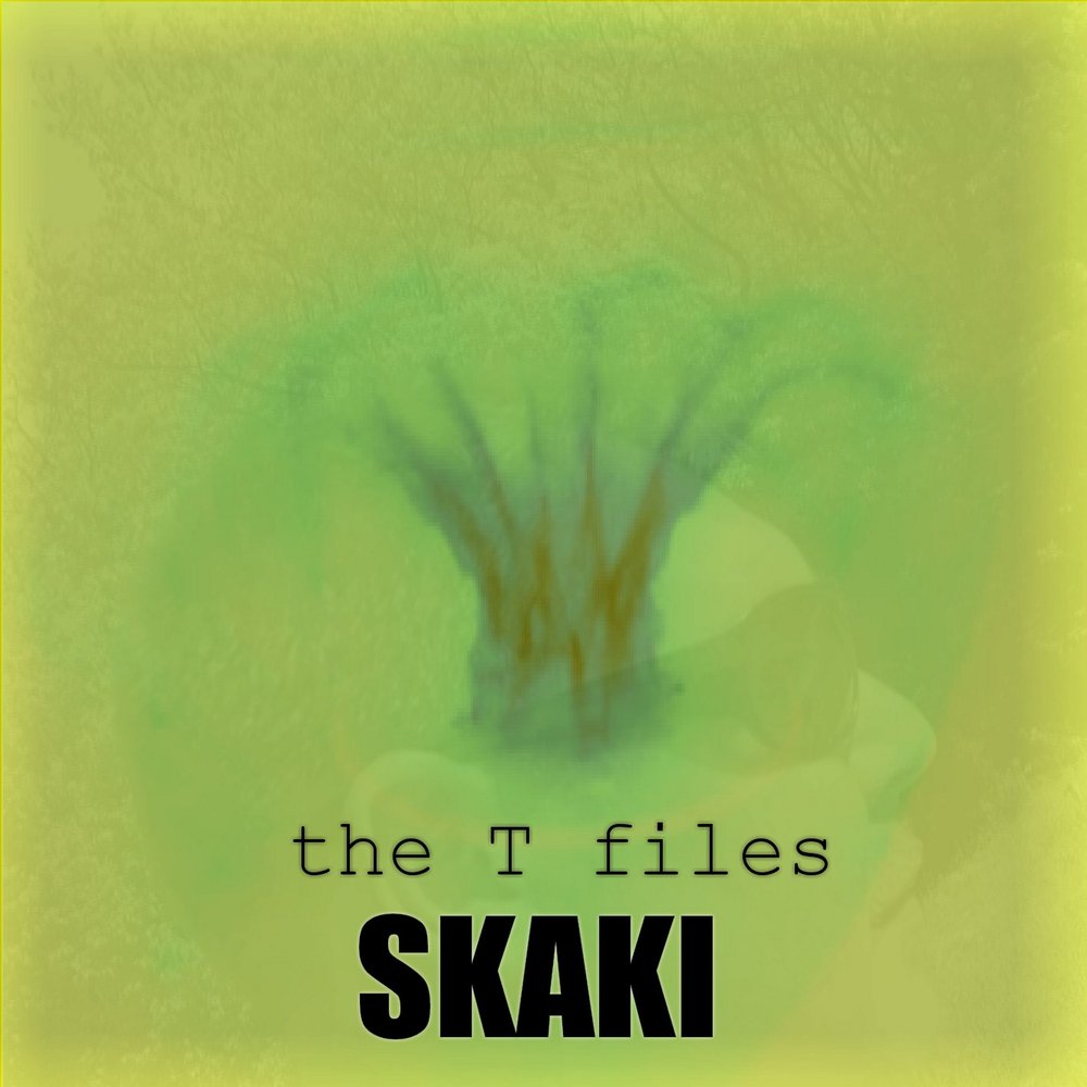 My t files
