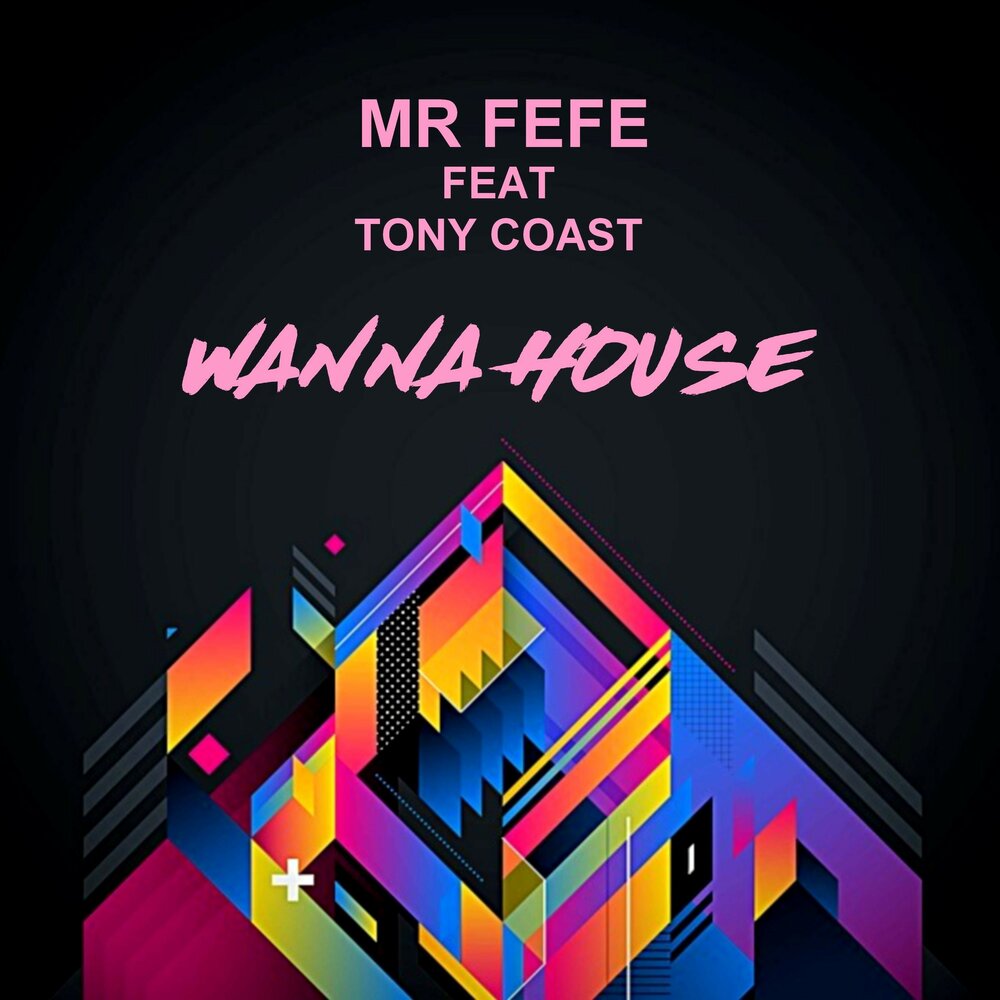 Wanna house. Mr. Tony Technics – Diskostylin.