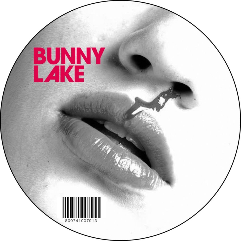 Demon Disco обложка. Lil Bunny альбомы. Bunny lake