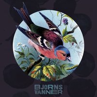 artist-cover